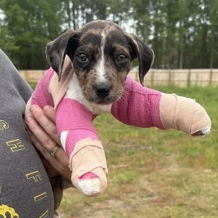 Lil Girl thumbnail 2