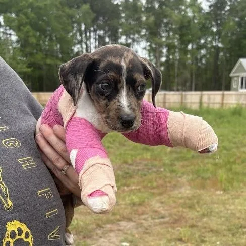 Lil Girl thumbnail 4