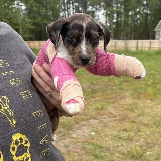 Lil Girl thumbnail 5