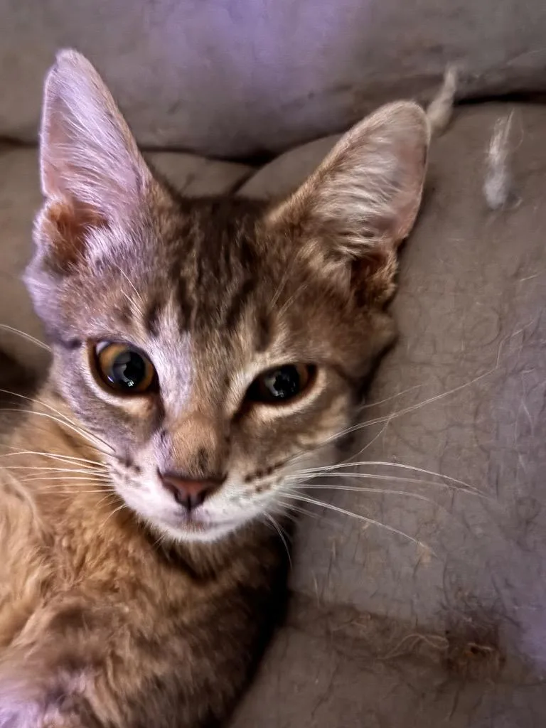 Wink thumbnail 3