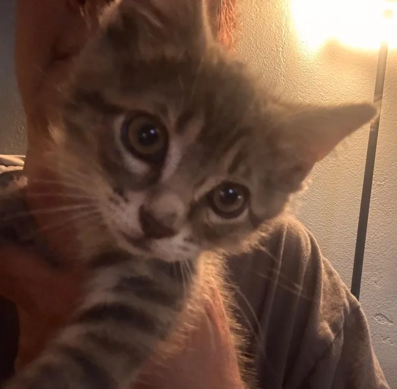 Wink thumbnail 4