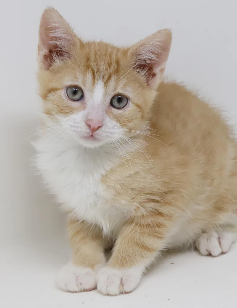 Breezy is BEAUTIFUL and thumbnail 6
