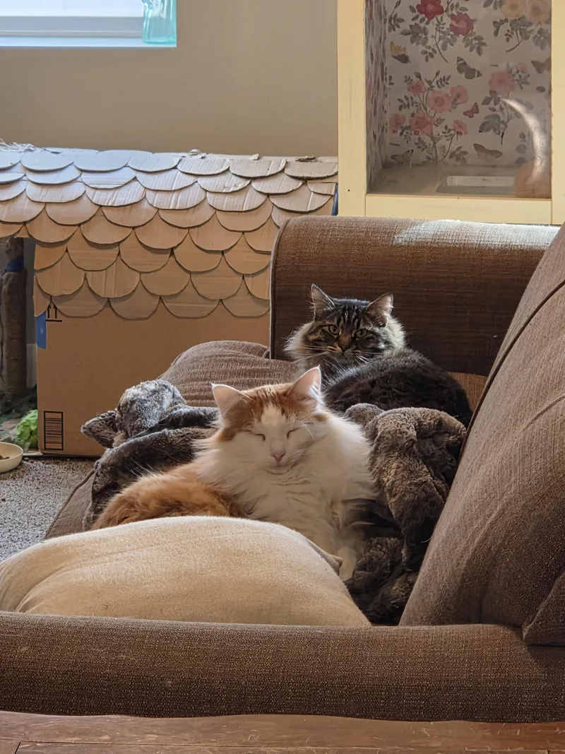 Nacho And Max thumbnail 2