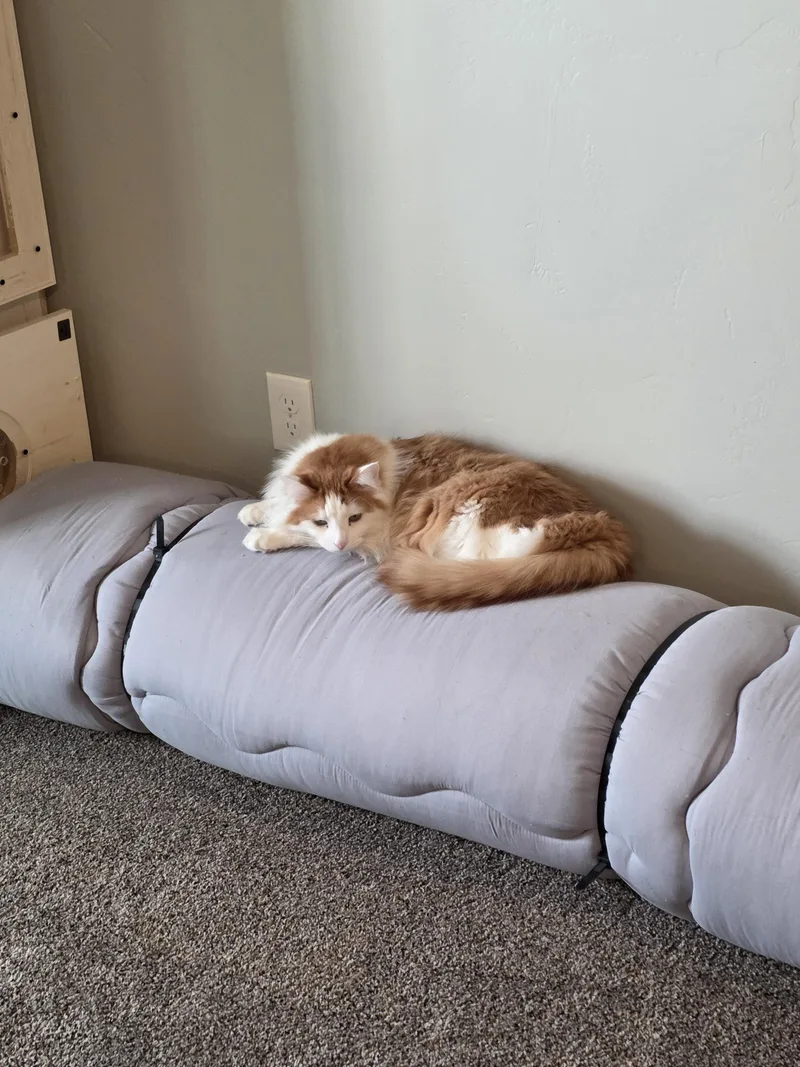 Nacho And Max thumbnail 3