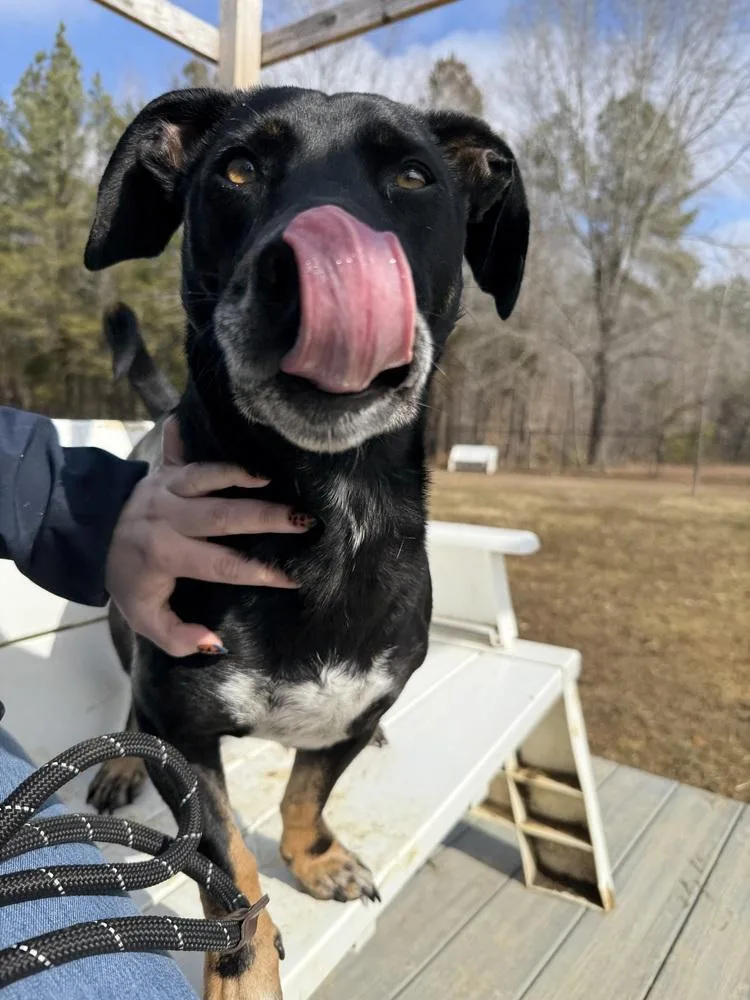 Clyde Updated Profile