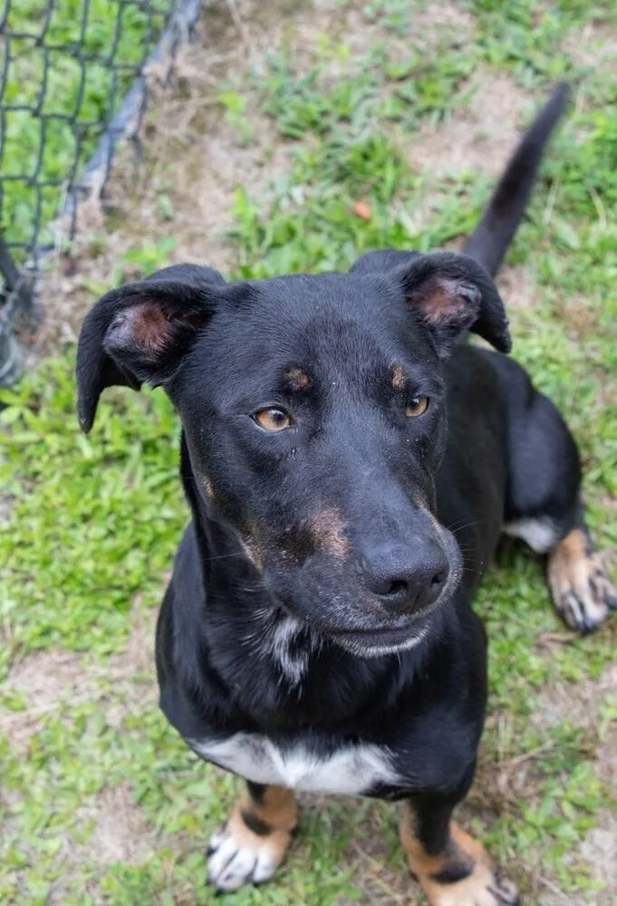 Clyde Updated Profile thumbnail 2