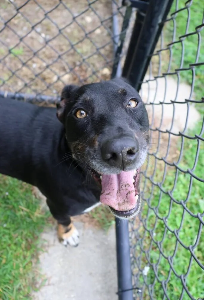 Clyde Updated Profile thumbnail 3