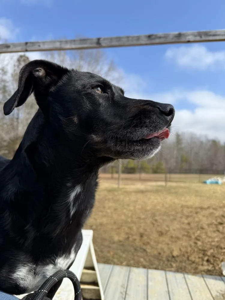 Clyde Updated Profile thumbnail 4