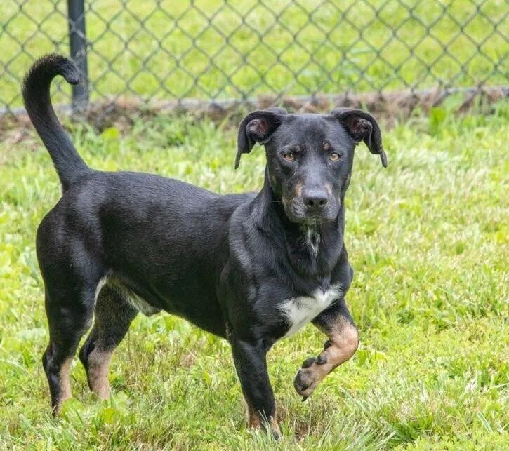 Clyde Updated Profile thumbnail 5