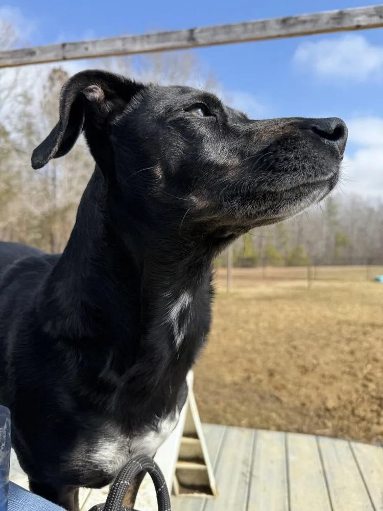 Clyde Updated Profile thumbnail 6