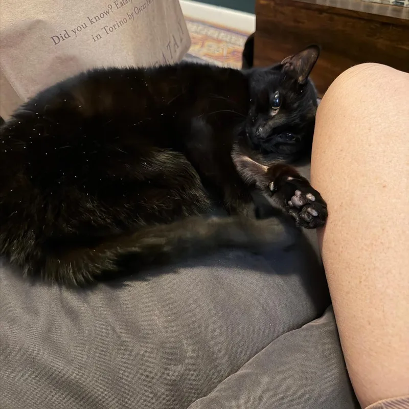Karen thumbnail 4