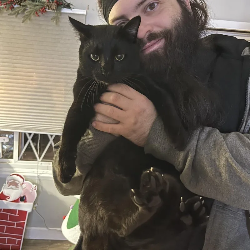 Shit Starter thumbnail 2