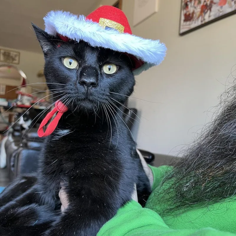 Shit Starter thumbnail 3