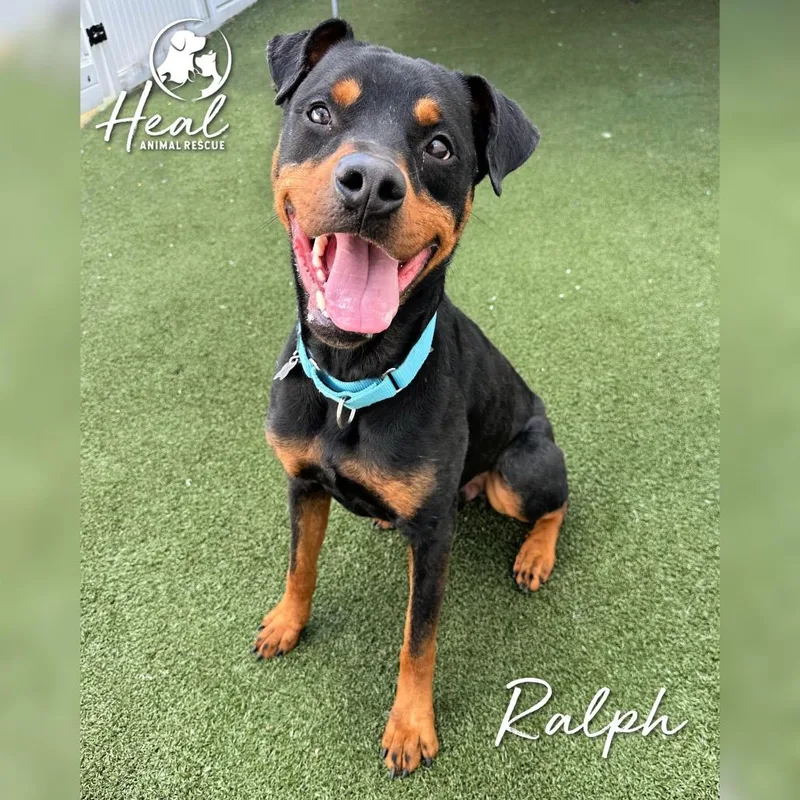 Ralph