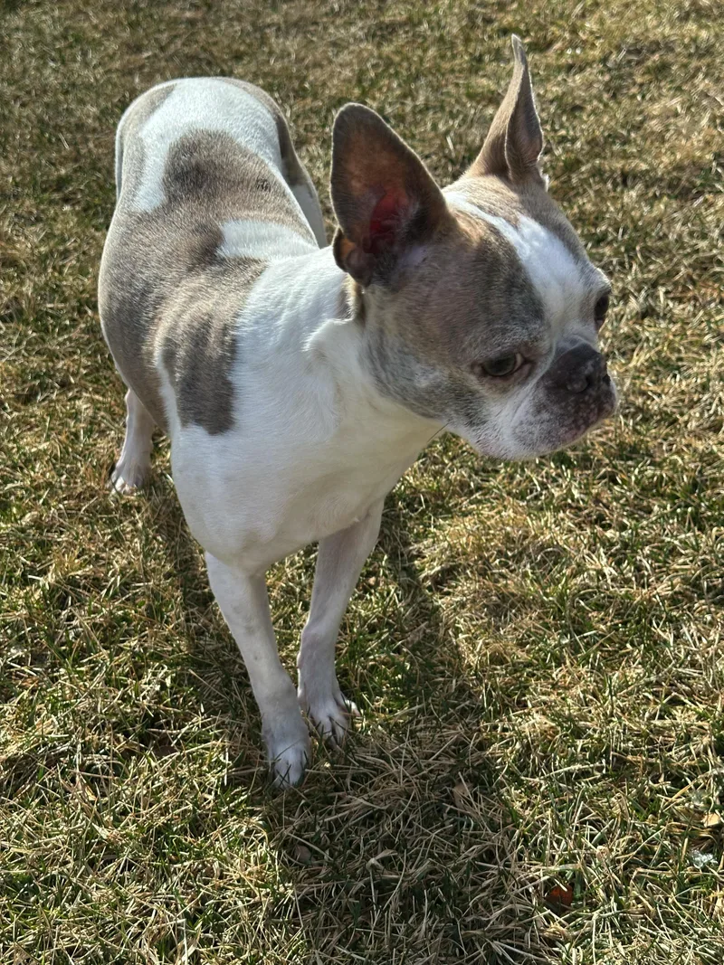 Lemmy In Ne thumbnail 2