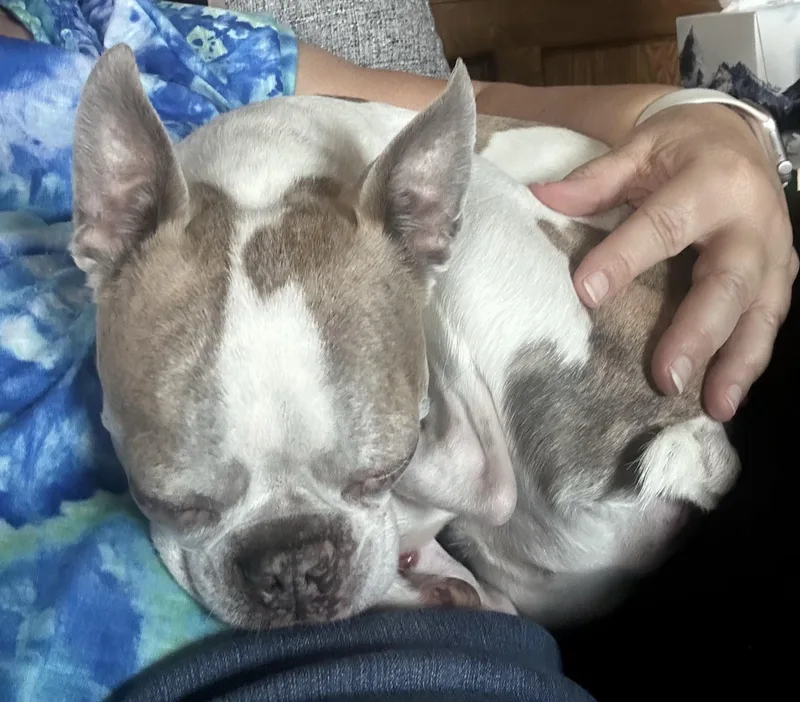 Lemmy In Ne thumbnail 3