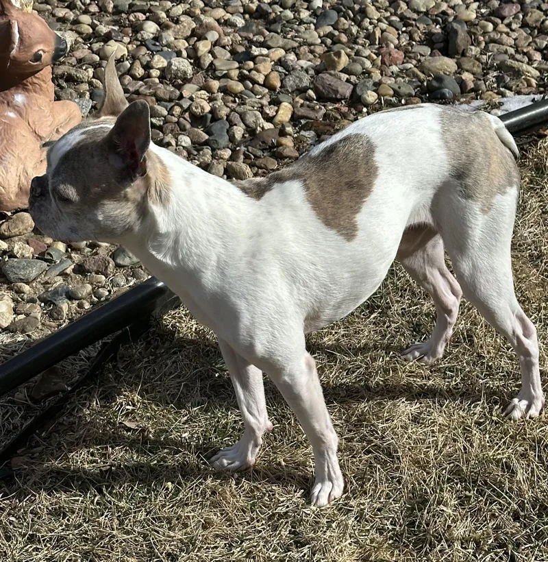 Lemmy In Ne thumbnail 5