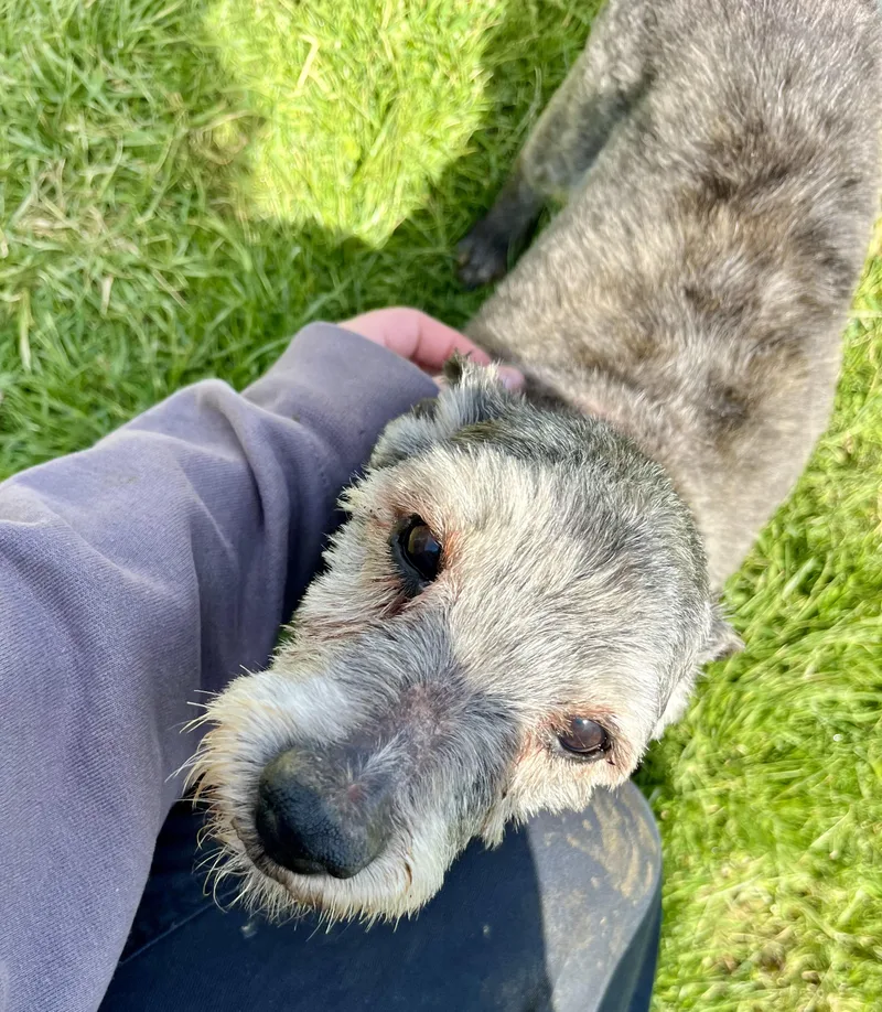 Emma Rae thumbnail 2