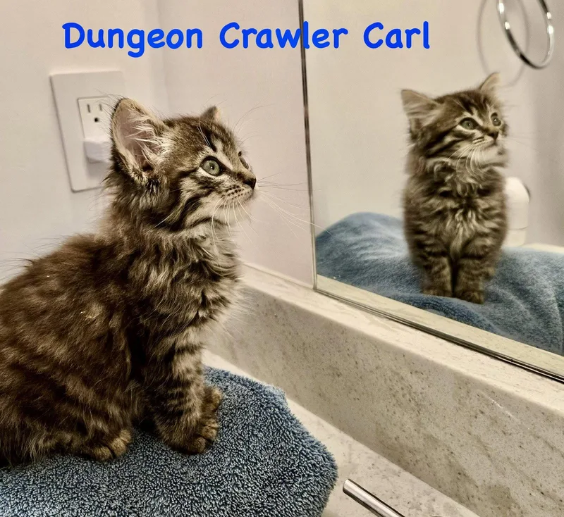 Dungeon Crawler Carl