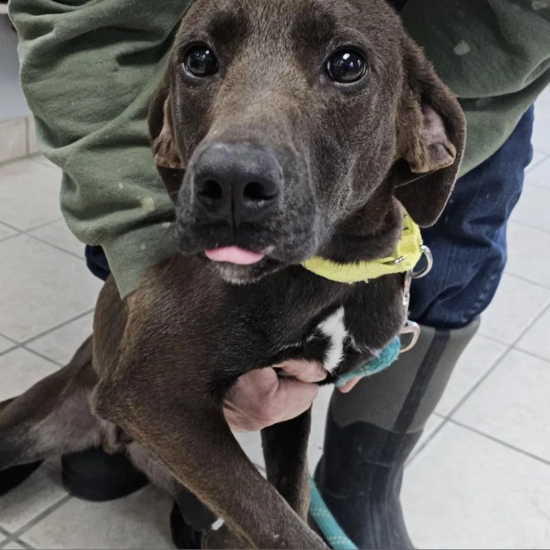 Boss Man thumbnail 3