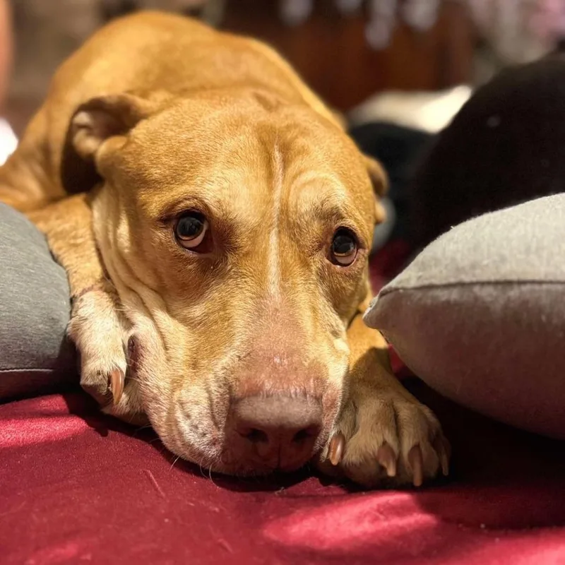 Sugar Mama thumbnail 2