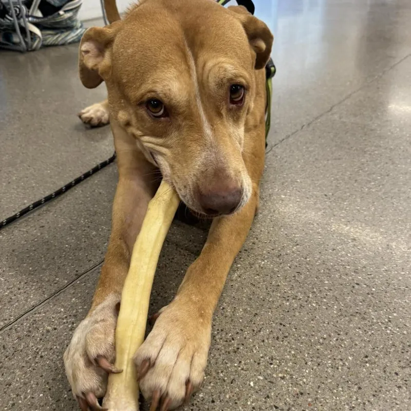 Sugar Mama thumbnail 4