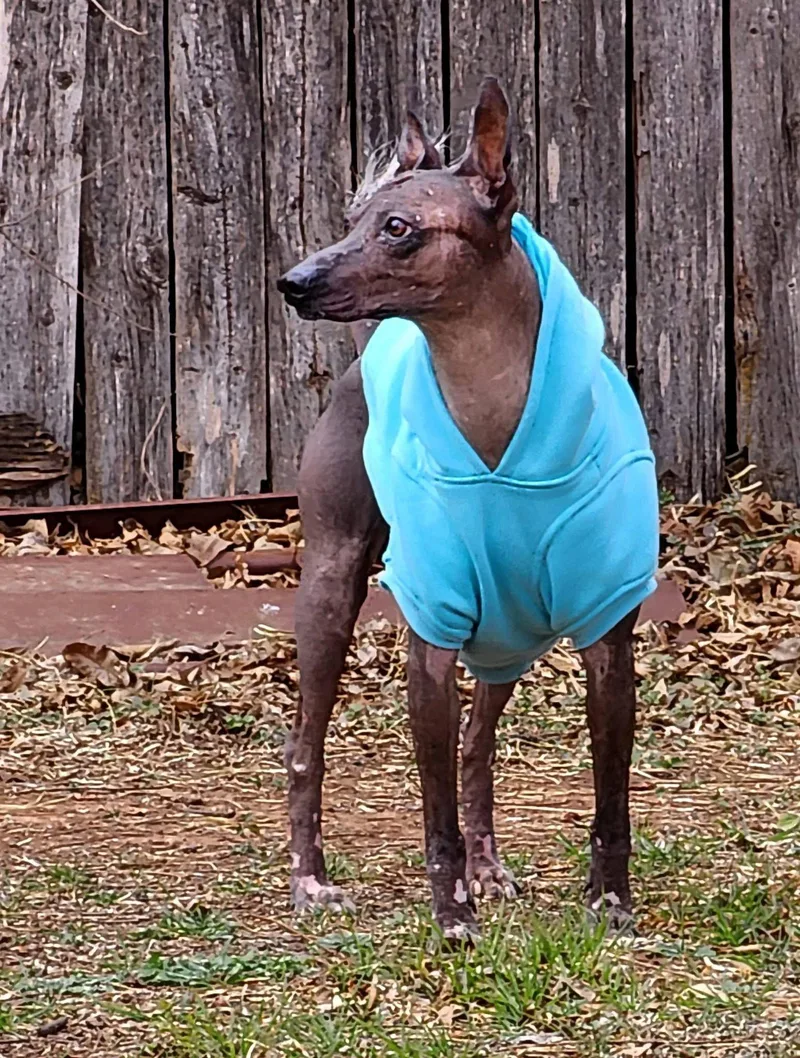 Ramsey In Texas thumbnail 3