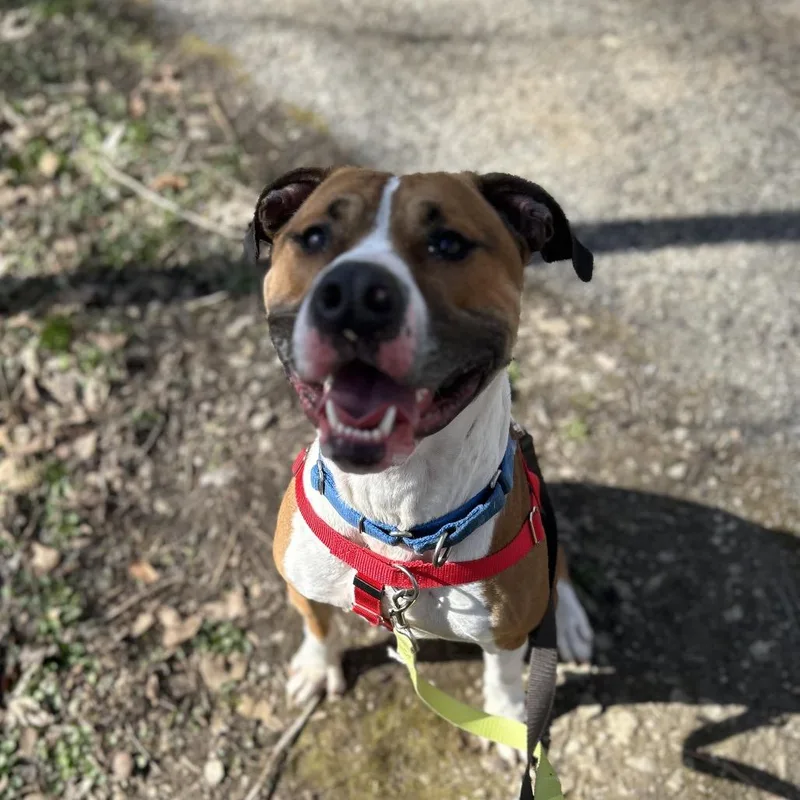 Kingston thumbnail 2