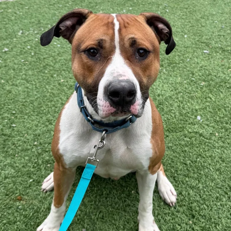 Kingston thumbnail 3