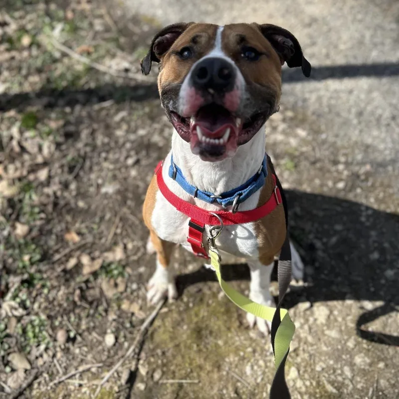 Kingston thumbnail 4