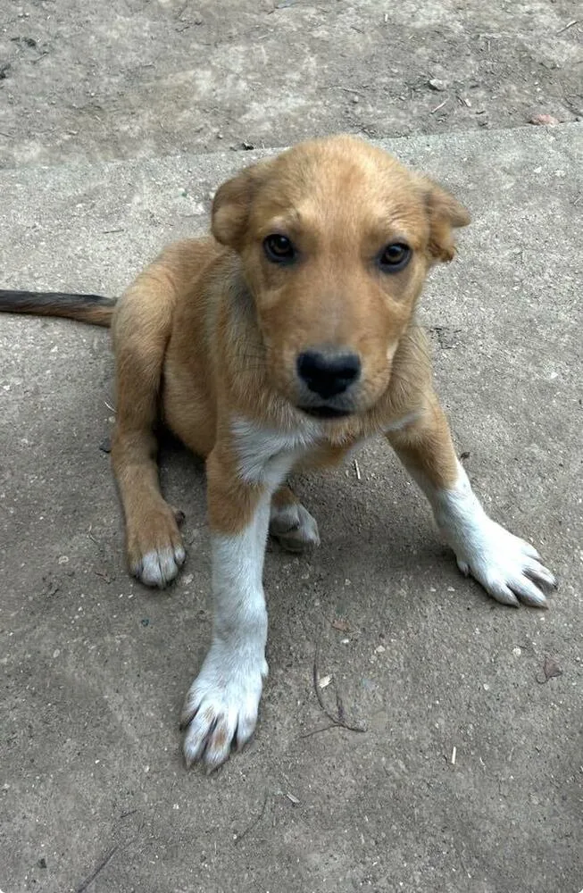 And Paws : Andy thumbnail 2