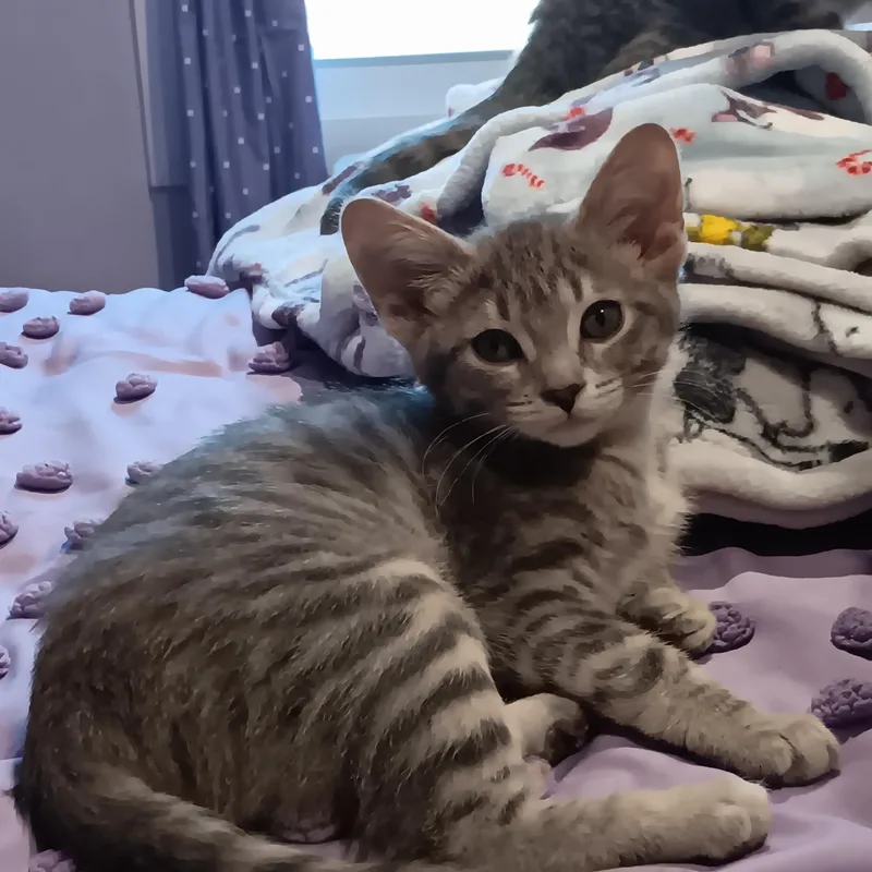 Iris & Lily thumbnail 3