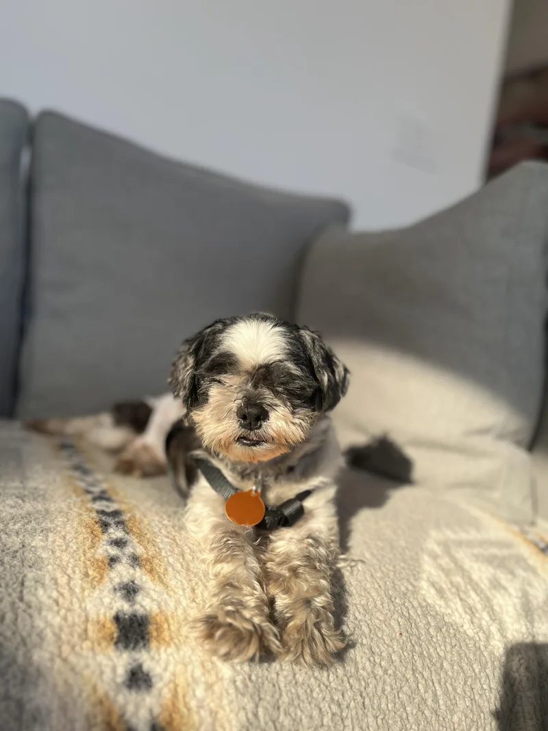 Betty thumbnail 3