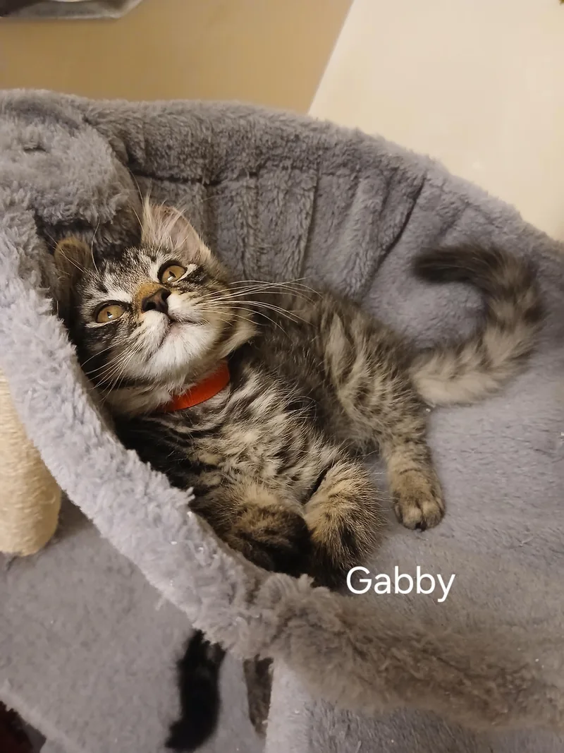 Gabby thumbnail 2