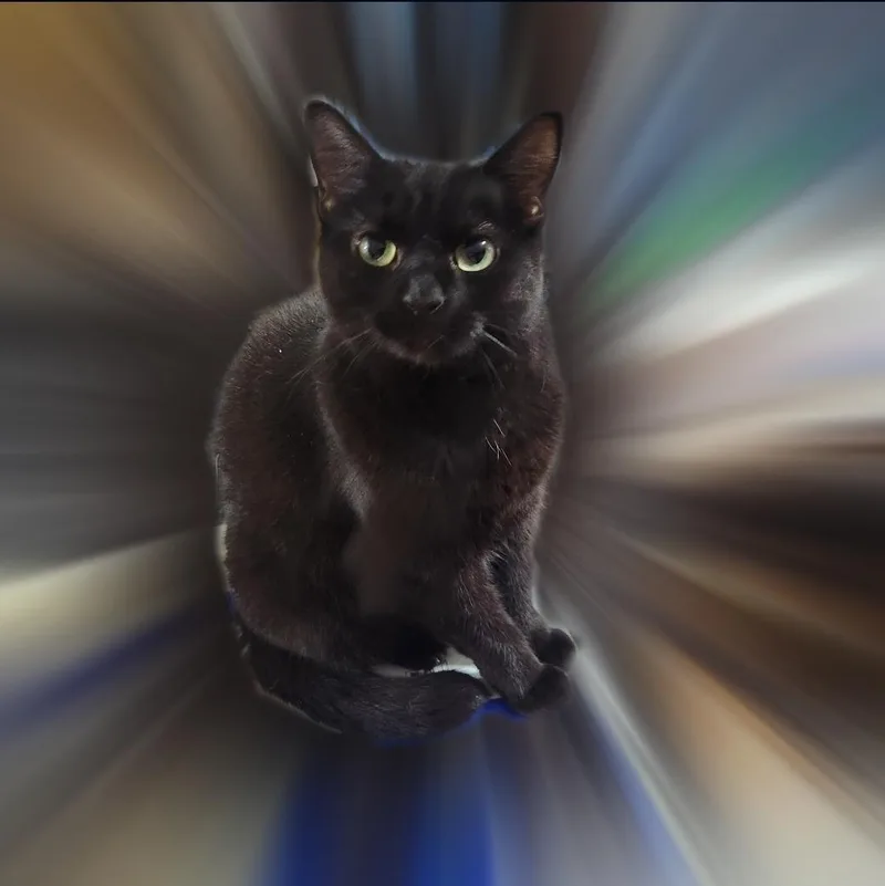 Chiquita thumbnail 2