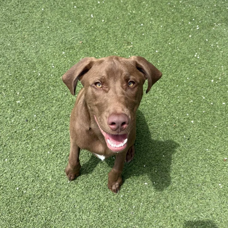 Colby AKA Oliver thumbnail 4