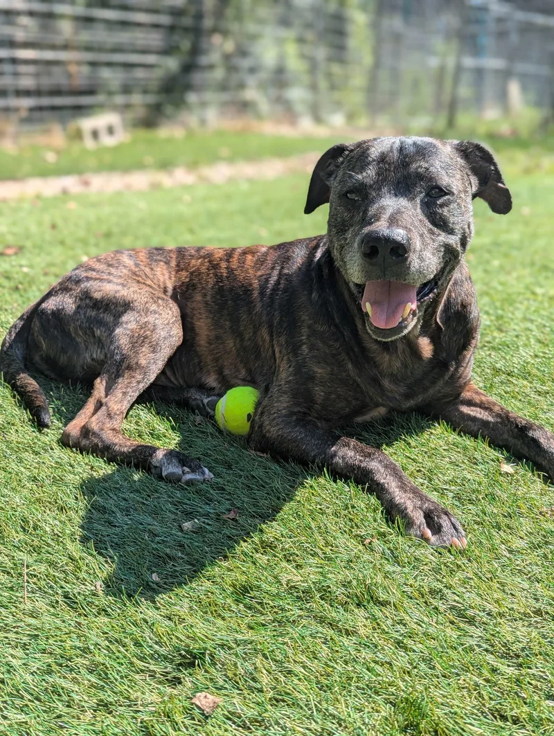 Pawpaw Frazier thumbnail 2