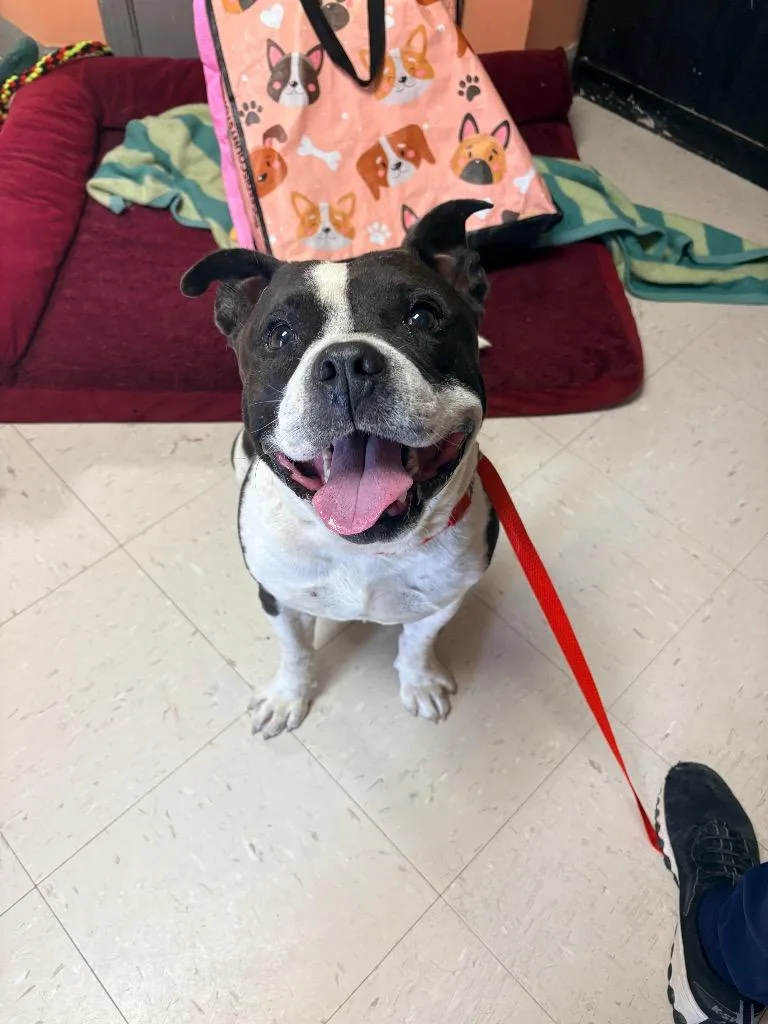 Tobi