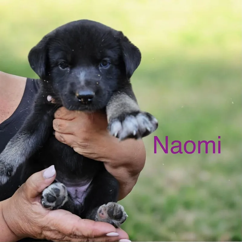 Naomi