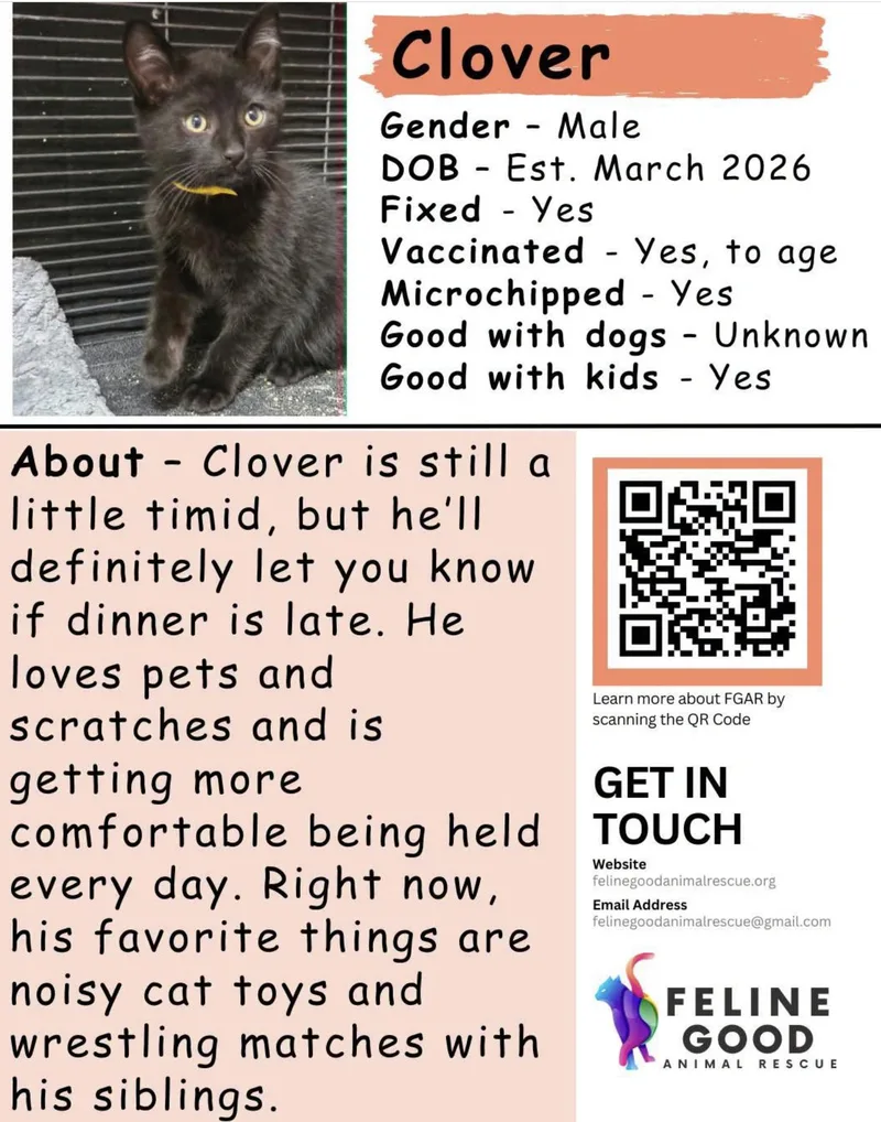 Clover thumbnail 2