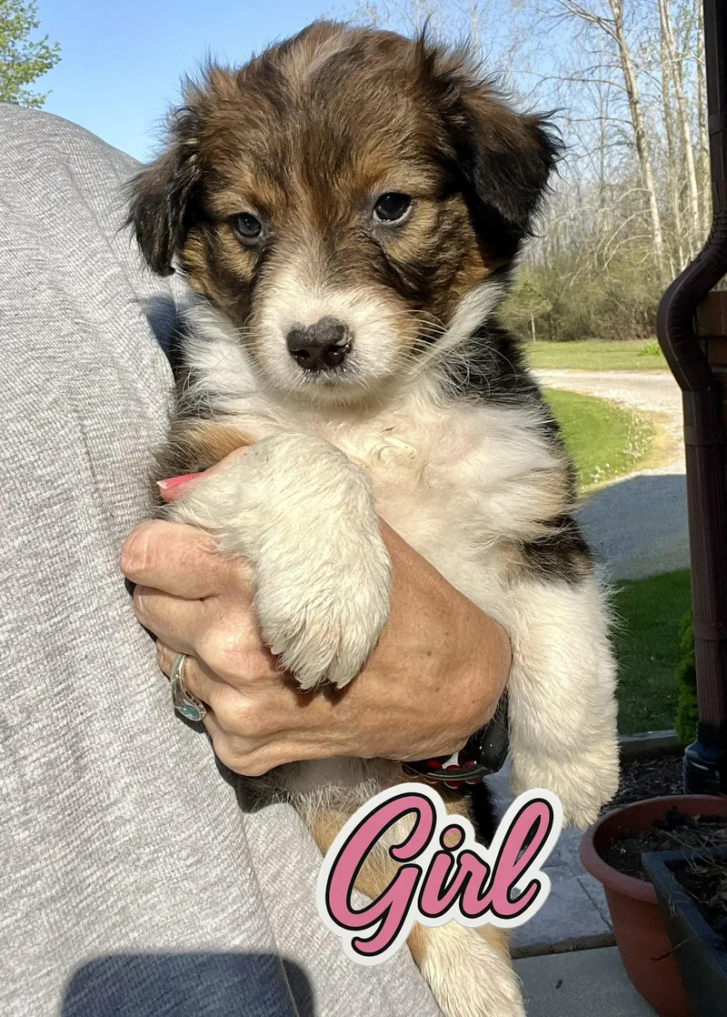 Lexi And Levi thumbnail 3