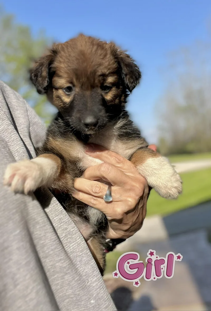 Lexi And Levi thumbnail 4
