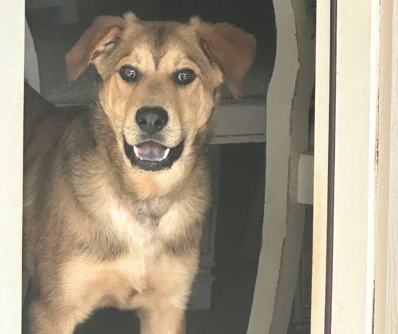 Maximus Montgomery  Tx