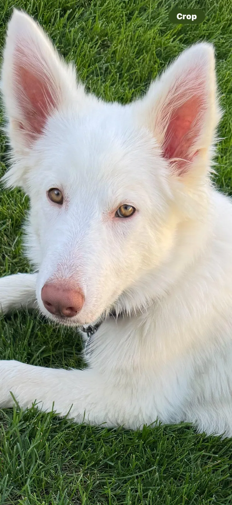 Aspen thumbnail 2