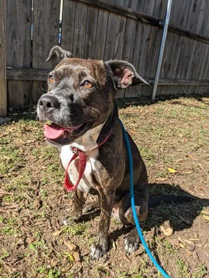 Marjorie thumbnail 2