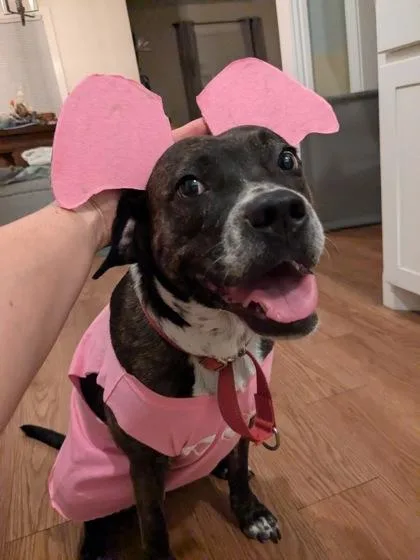 Marjorie thumbnail 3