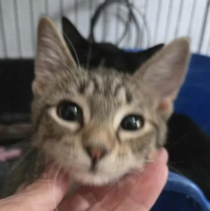 Andy thumbnail 2