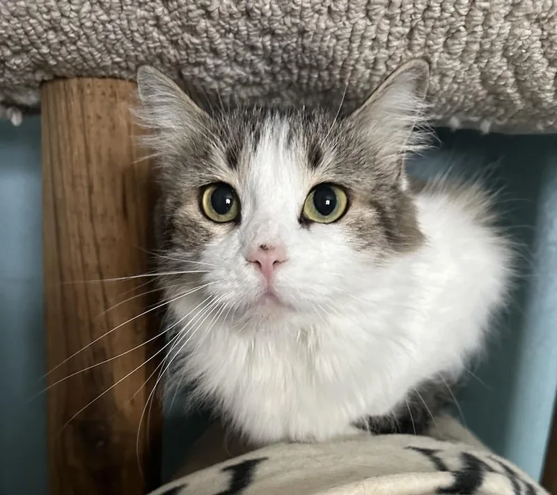 Katherine thumbnail 2