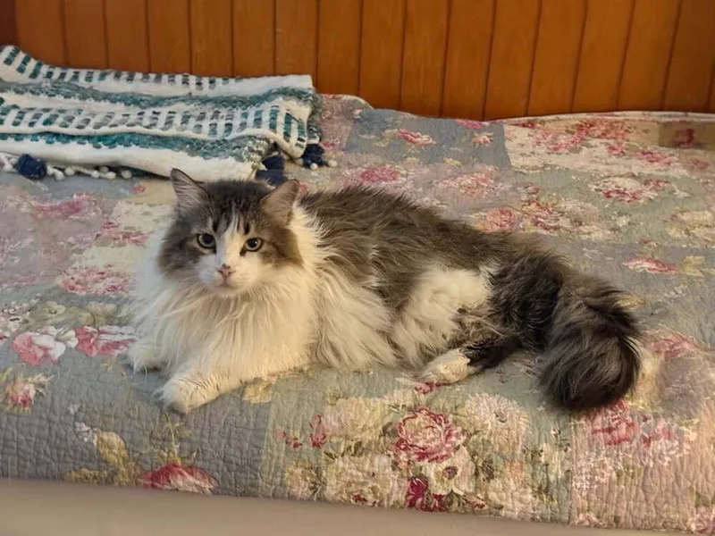 Katherine thumbnail 3