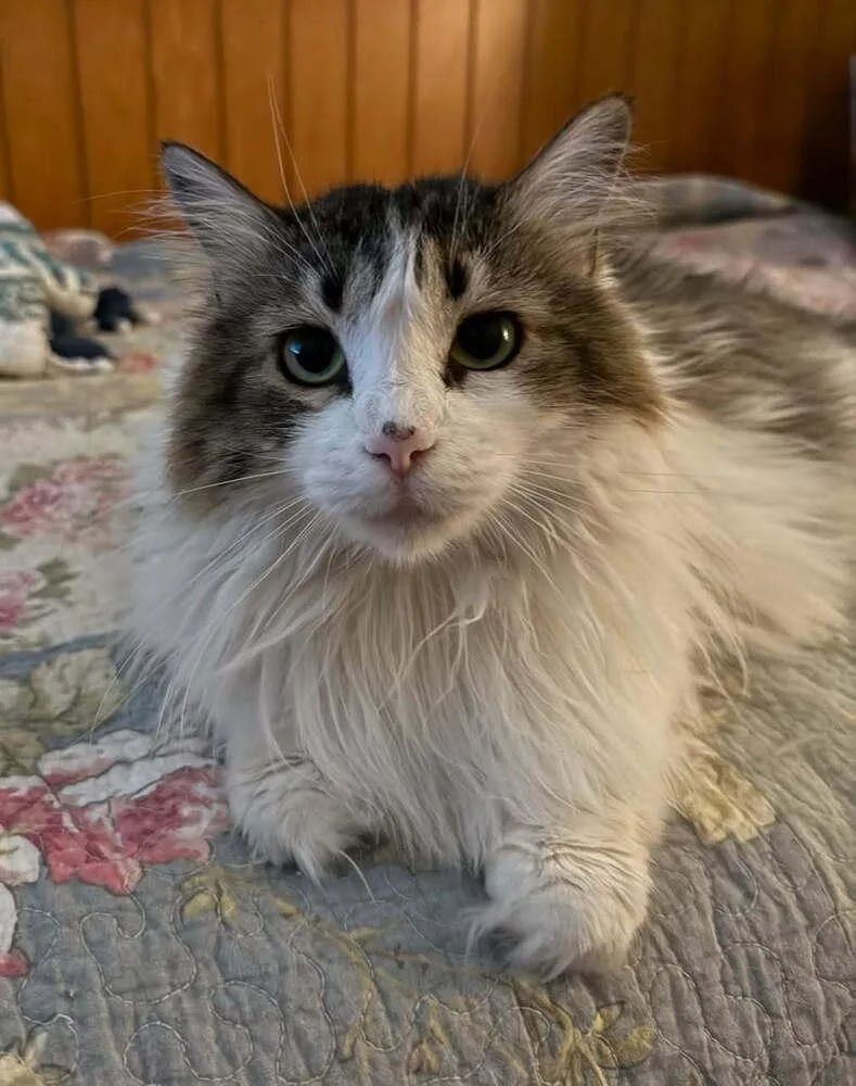 Katherine thumbnail 4